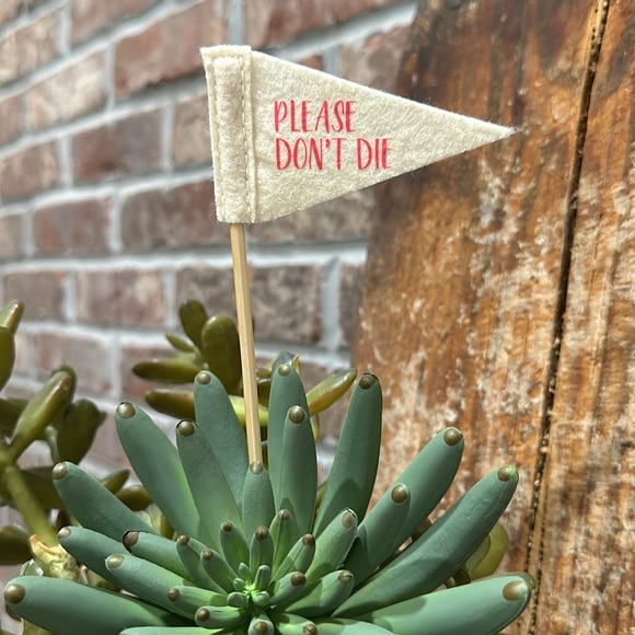 Plant Flags *Set of 2 - Picture 3 of 4